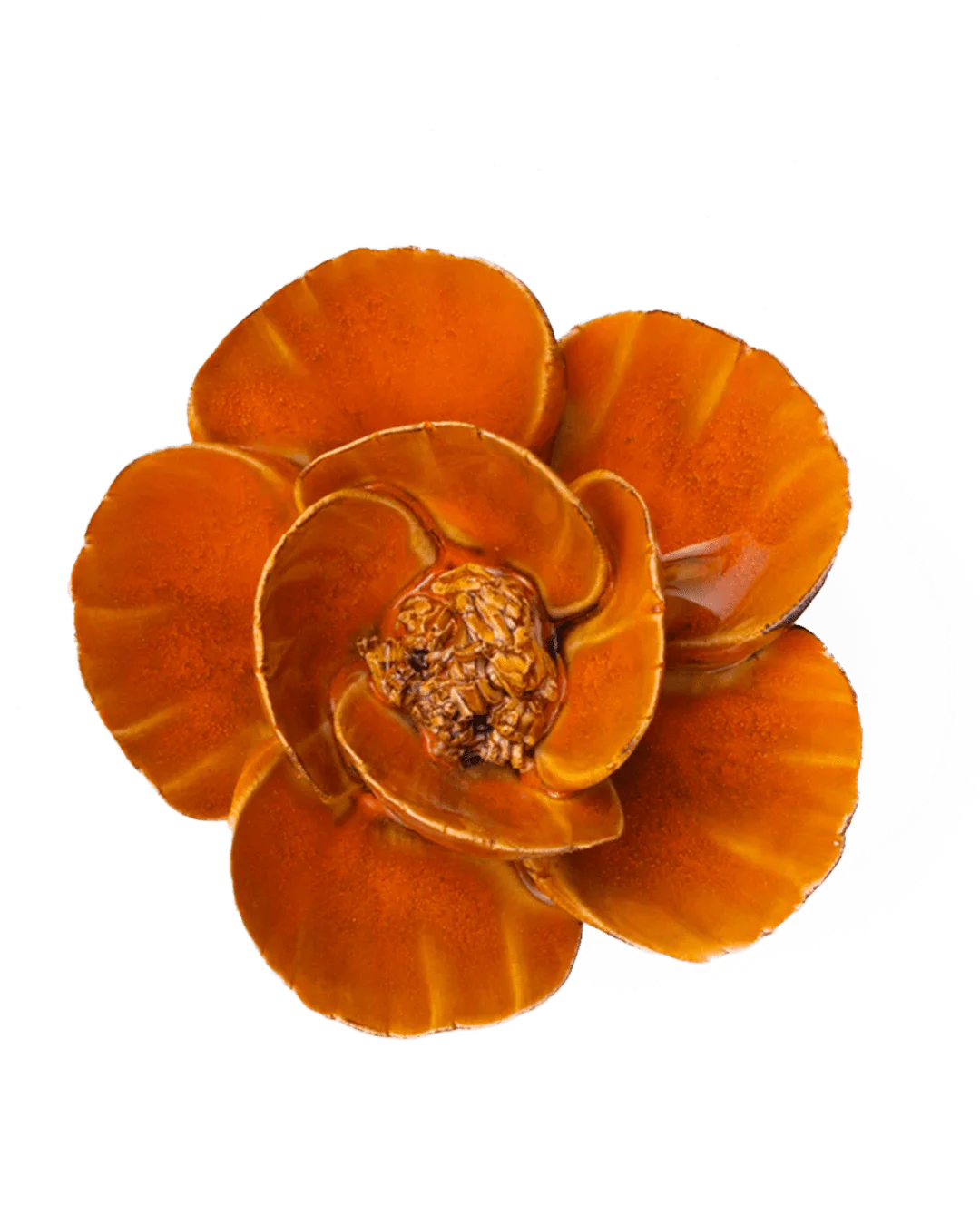 Burnt Orange Poppy #FR08