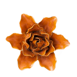 Burnt Orange Stargazer Lily #FR13