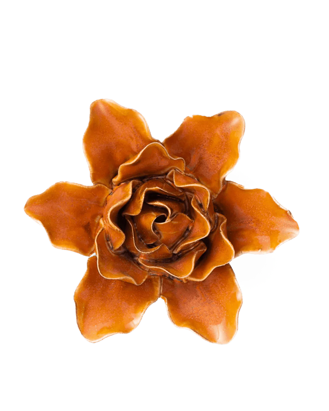 Burnt Orange Stargazer Lily #FR13