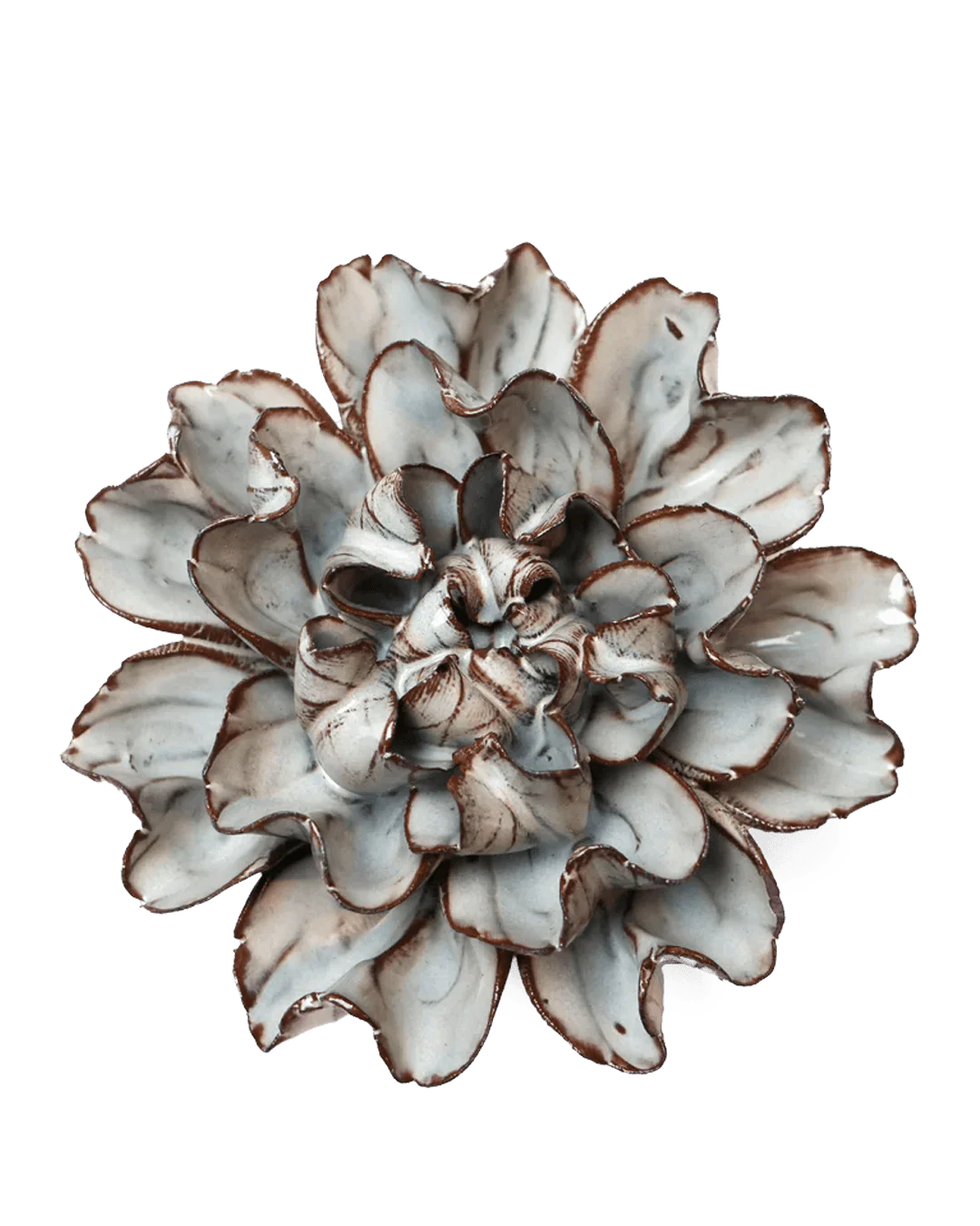 Chocolate Mint Echo Lisianthus #JA15