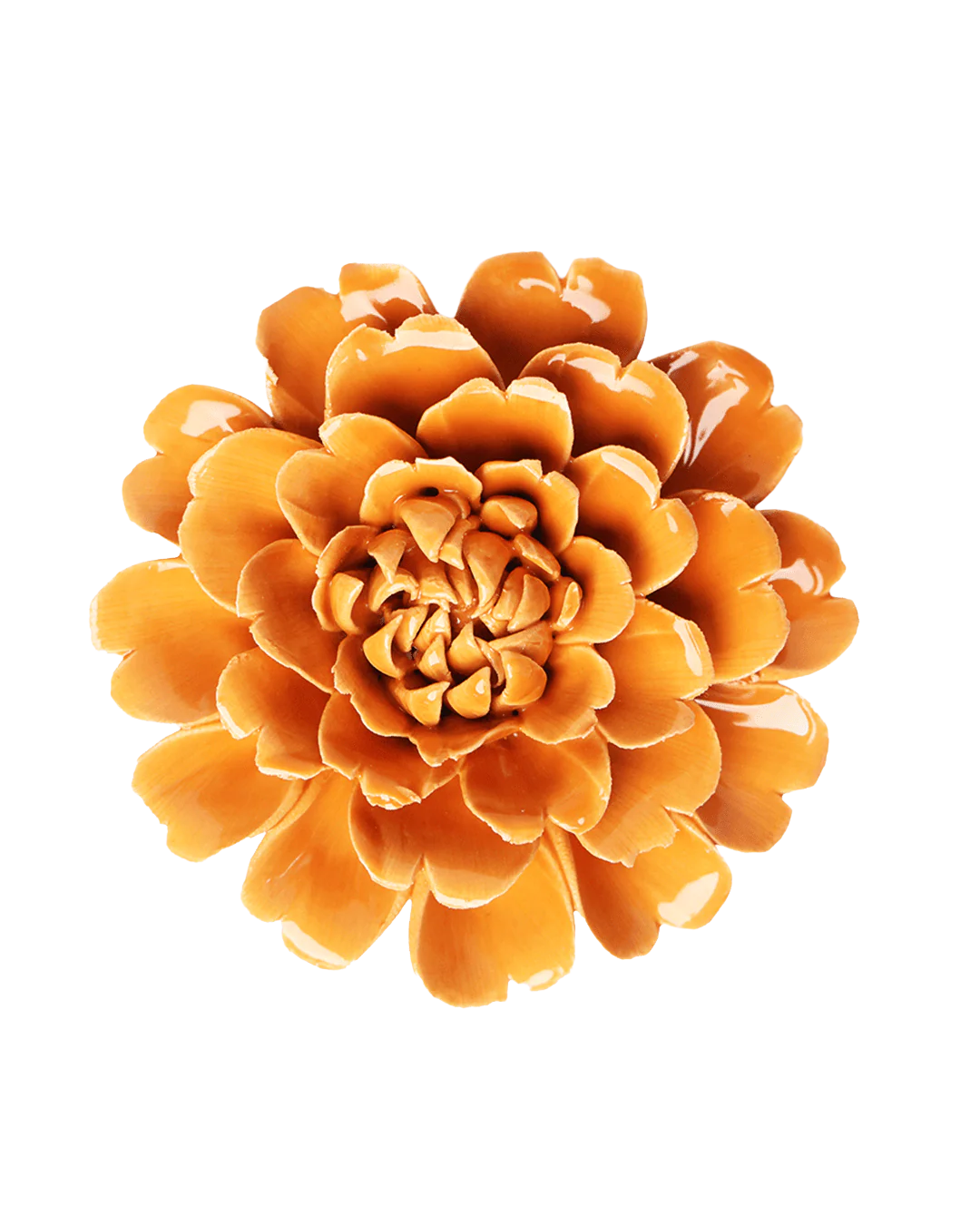 Orange Fiesta Marigold #EG44