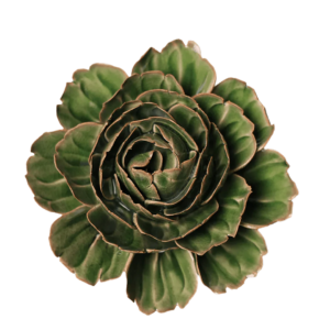 Avocado Green Rozella Peony #EG05