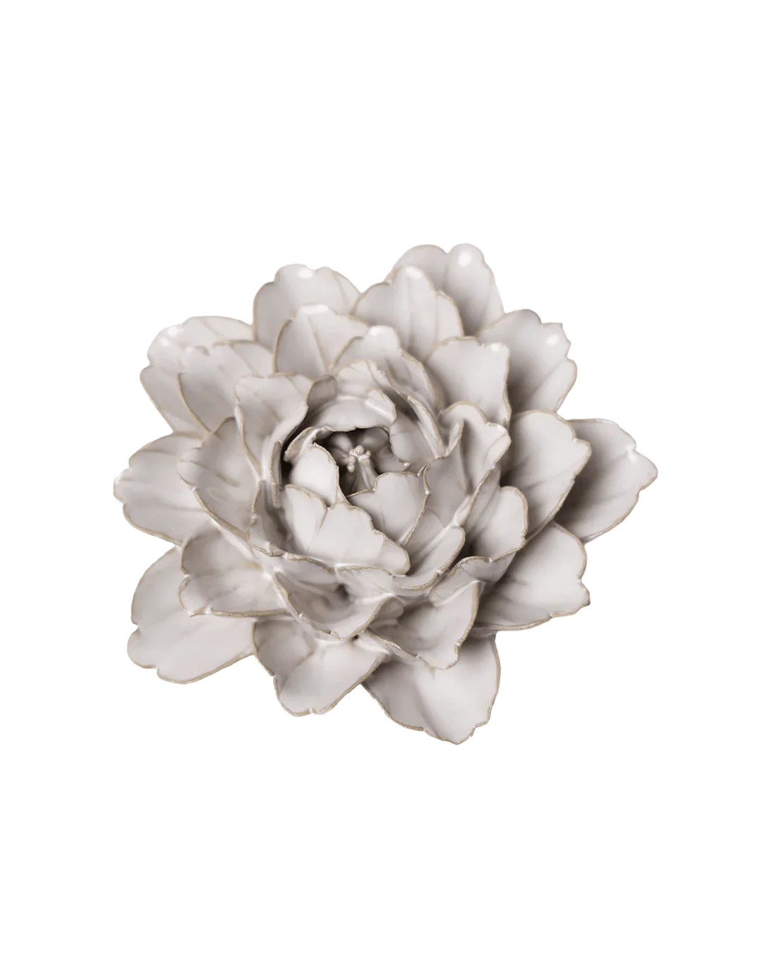 Ivory Comanche Peony #CO05