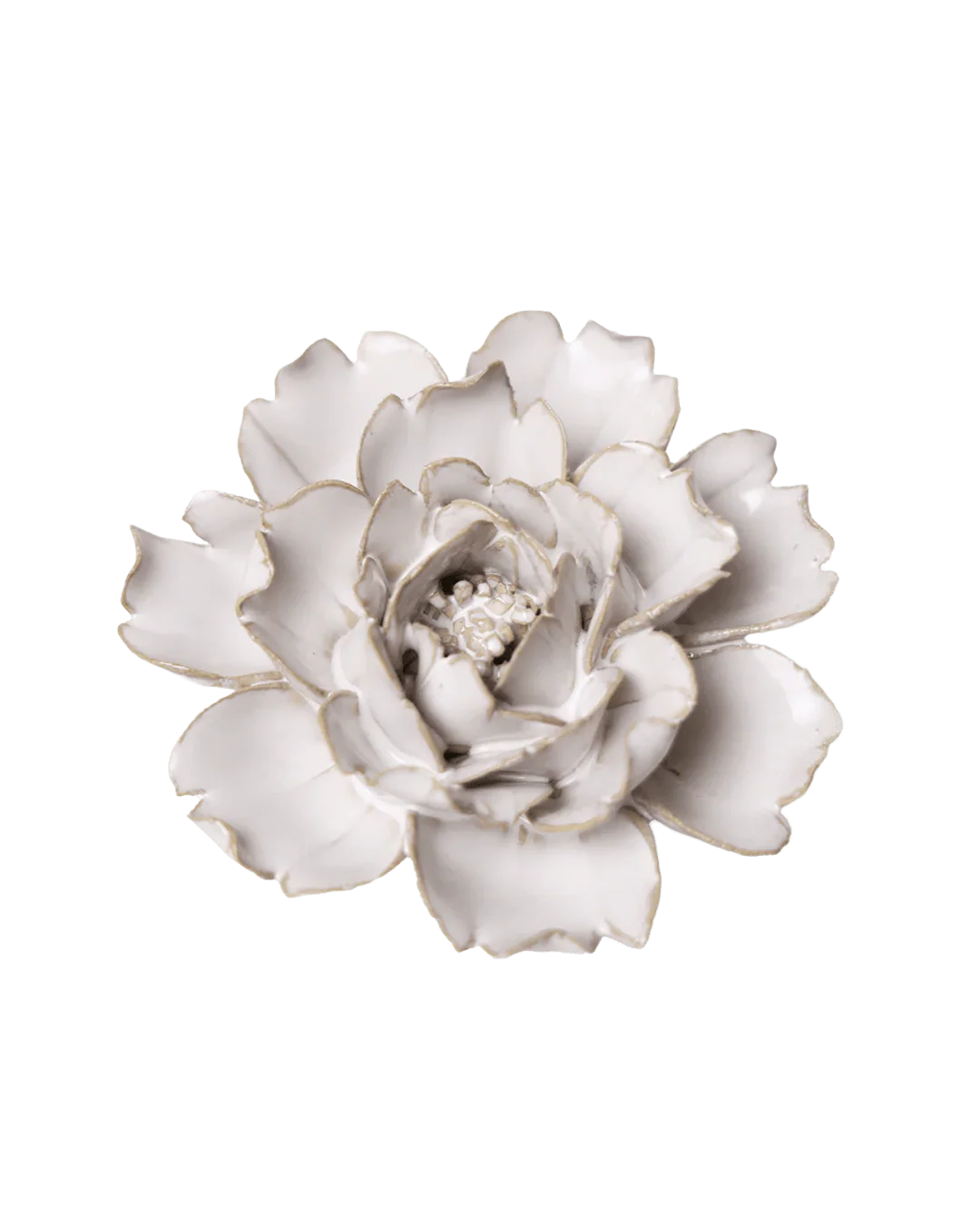 Ivory Rose #CO03