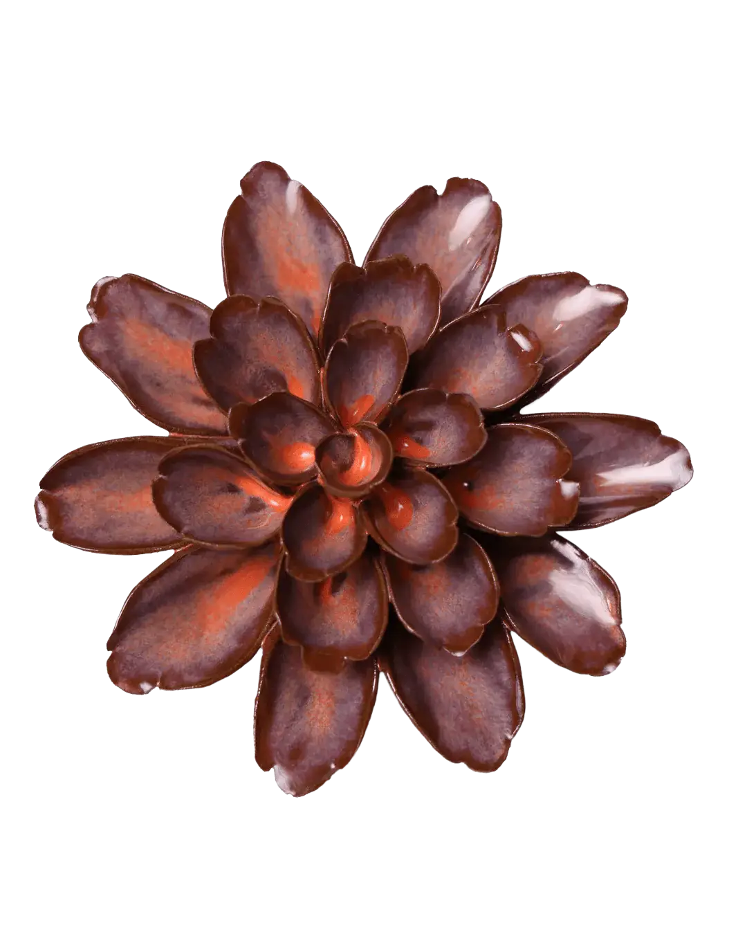 Peach Mocha Cornflower #JA19