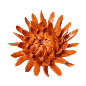 Orange Sarah Mum #EG35