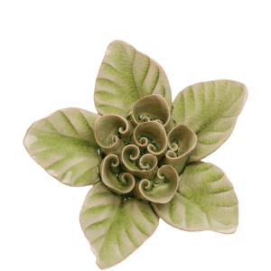 Peridot Green Maiden Lotus #EG18