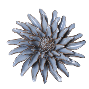 Blue Grey Gerbera Daisy #JA14