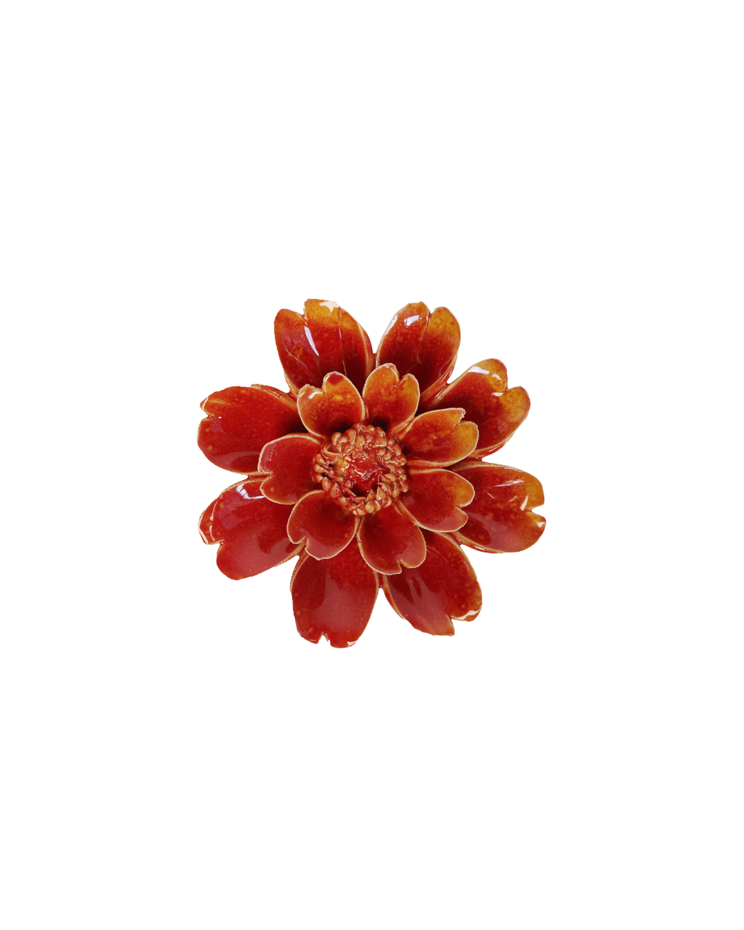 Orange Yellow Paris Daisy #FR29