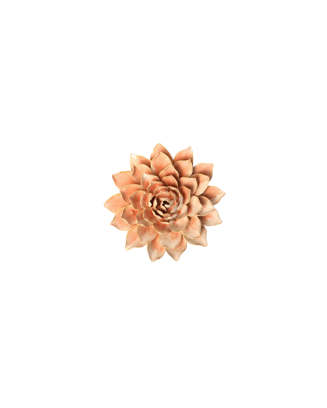 Peach Pink Madonna Azalea #FR33