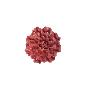 Blush Pink Tundra Carnation #FR36