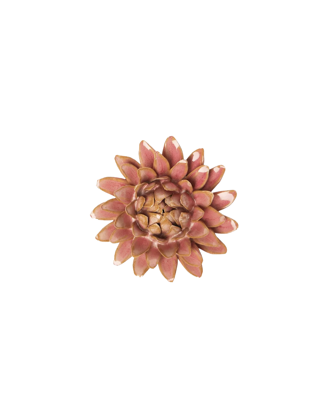 Rose Quartz Pink Strawflower #FR38