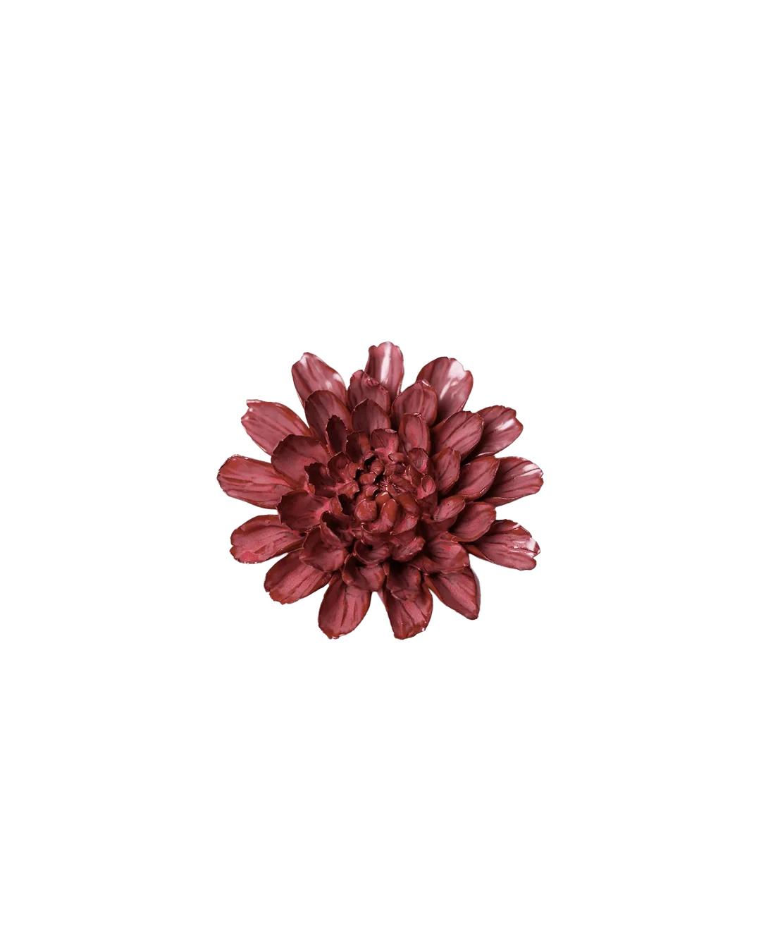 Blush Pink Star Dahlia #JA17