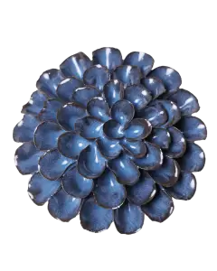 Blue Noir Pompon Dahlia #JA04