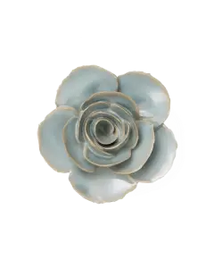 Milk Teal Poppy #EG19