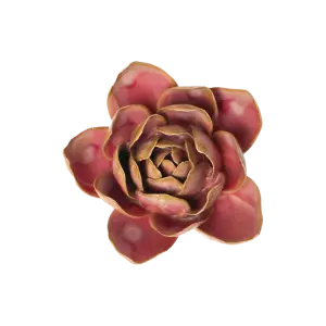 Rose Quartz Pink Narcissus #FR28