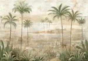 Draa Palms