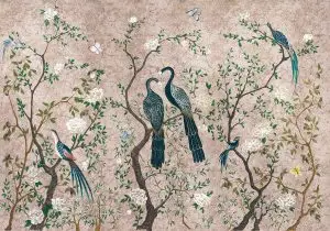 Edo