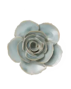 Melkgroen Elegantie Ranunculus FR04