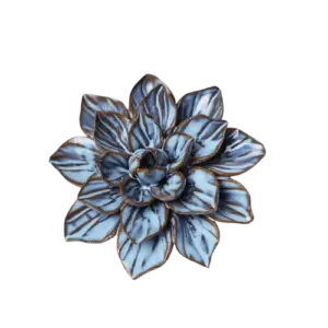 Blauwe Frikartii-aster #JA23