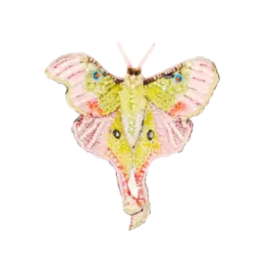 Moon Moth