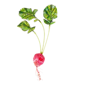 Red Radish