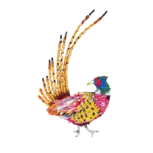 Ring Necked Pheasant
