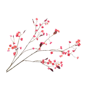 Bessentak Beauty - Roze/Bordeaux