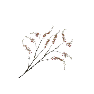 Wisteria - Groen/Roze (Groot)