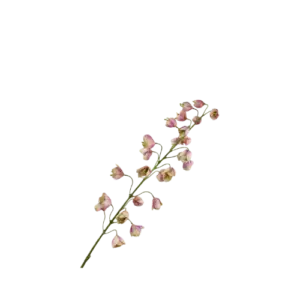 Fritillaria Steel - Roze
