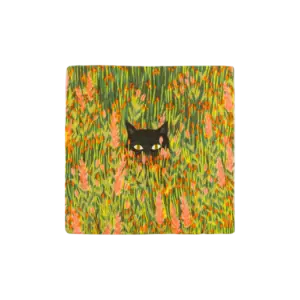 Hide & Seek