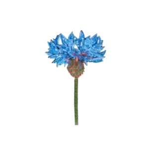 Blue Cornflower