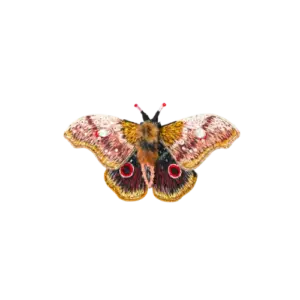 Emperor Mopane Moth