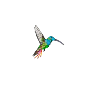 Emerald Chin Hummingbird