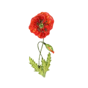 Field Poppy