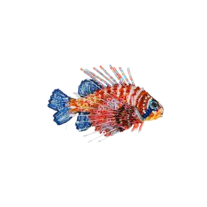 Lion Sea Fish