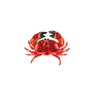 Red Rock Crab